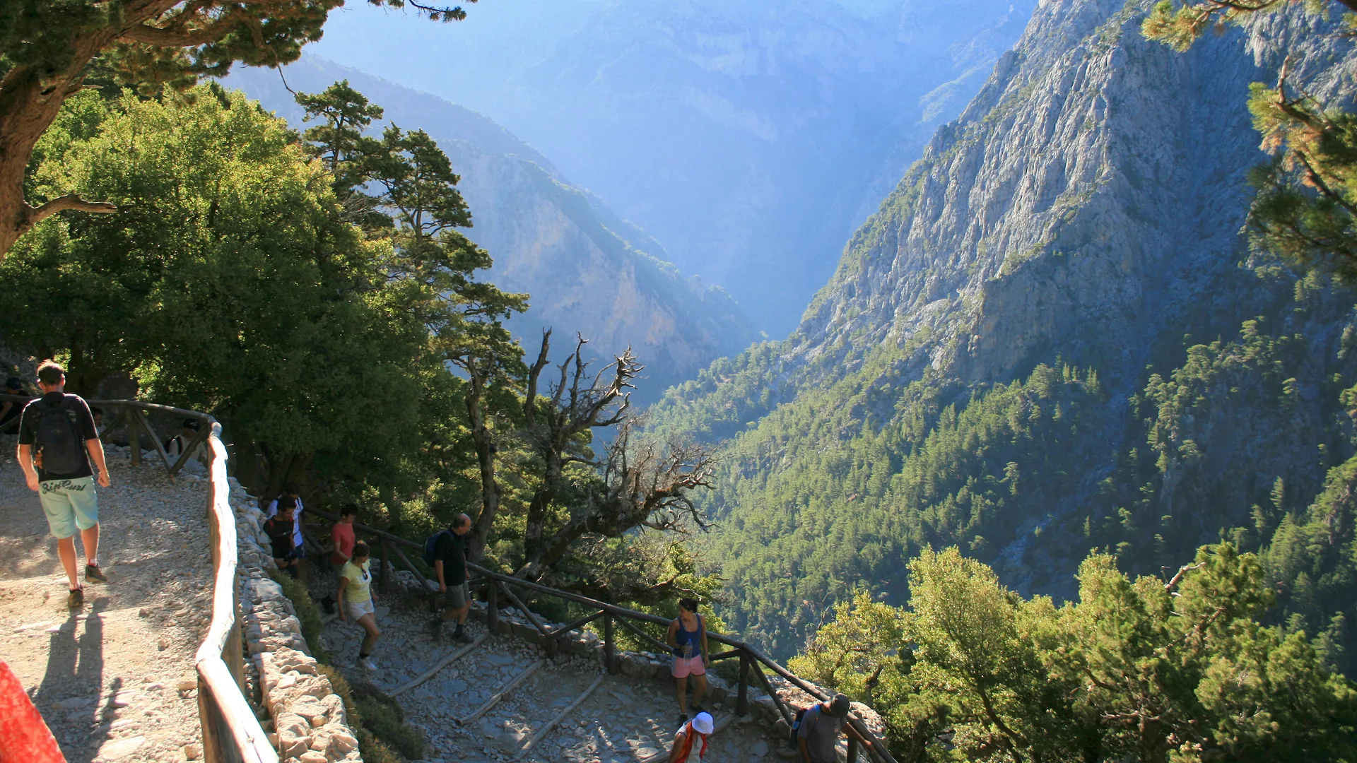Hikers descending the wooden-railed steps at Xyloskalo into the deep, pine-covered Samaria Gorge in Crete.